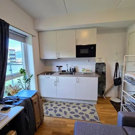 Apartamento Modern And Sentral Penthouse Tromsø Exterior foto