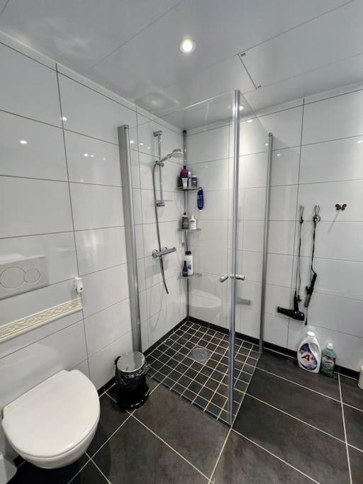 Modern And Sentral Penthouse Tromso